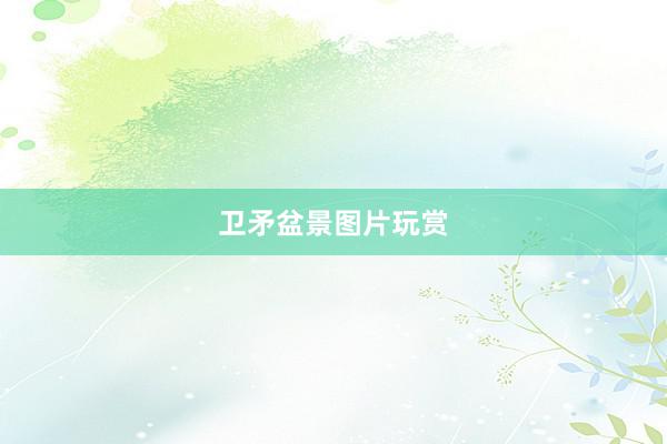 卫矛盆景图片玩赏