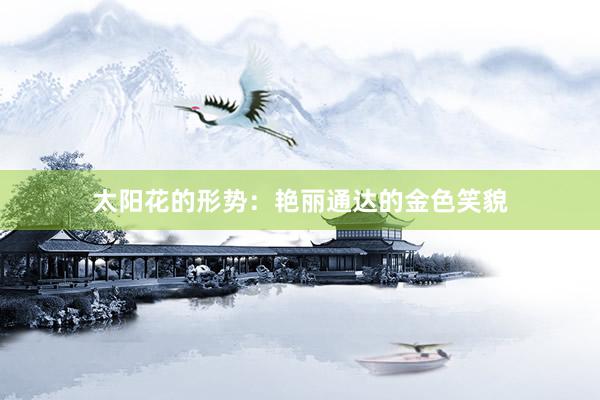 太阳花的形势：艳丽通达的金色笑貌