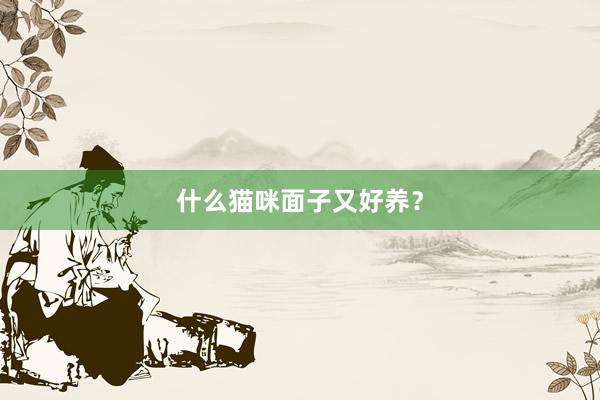 什么猫咪面子又好养？