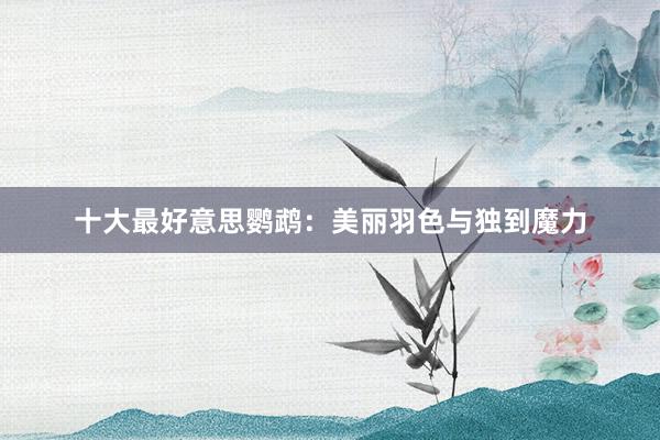 十大最好意思鹦鹉：美丽羽色与独到魔力