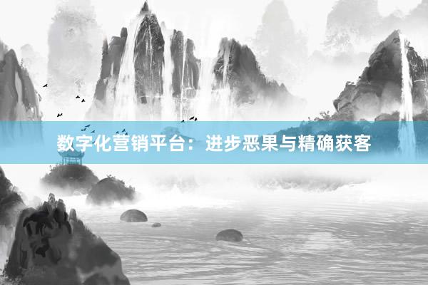 数字化营销平台：进步恶果与精确获客
